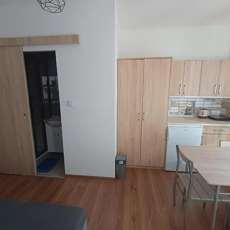 U Oli Dawid Spaczynski