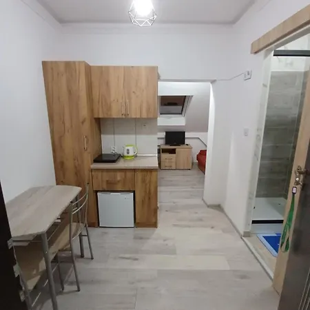 בית אירוח U Oli Dawid Spaczynski מיצ'יצ'ניו