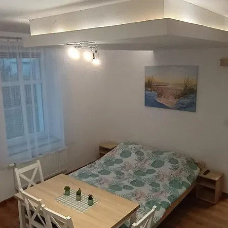 U Oli Dawid Spaczyński
